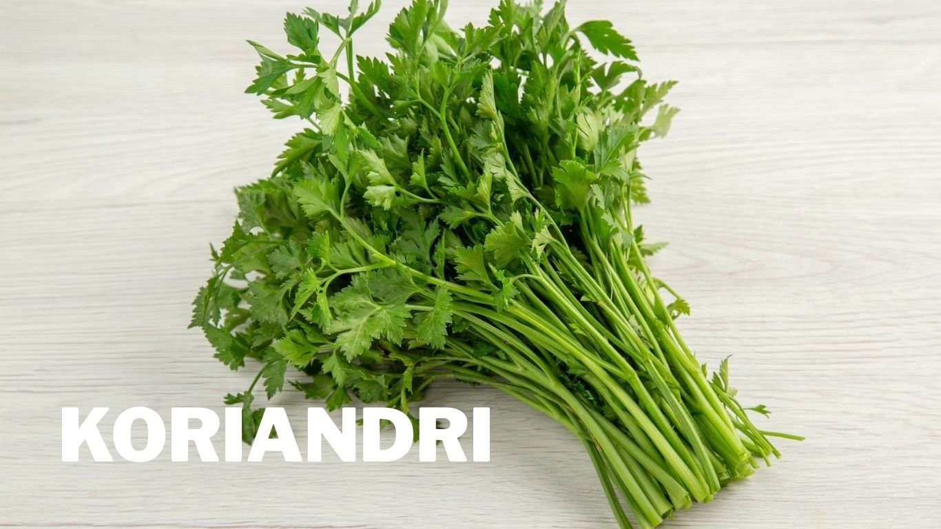 Koriandri