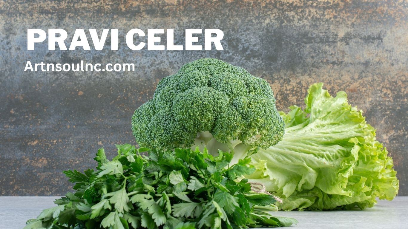 pravi celer
